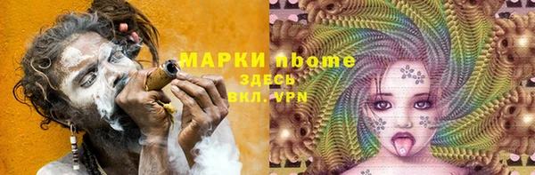 крисы Абаза