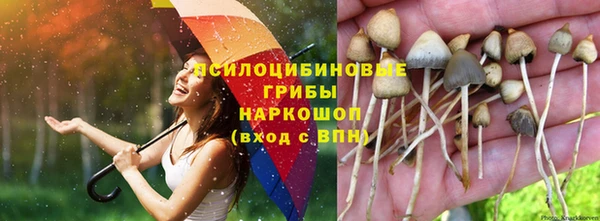 марки lsd Нефтекумск