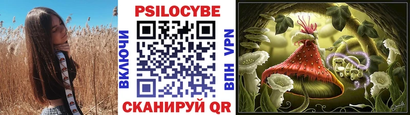 наркошоп  Рославль  Псилоцибиновые грибы Psilocybe 