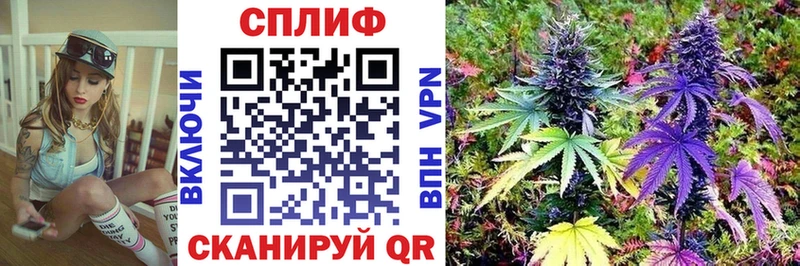 Конопля White Widow купить закладку Рославль